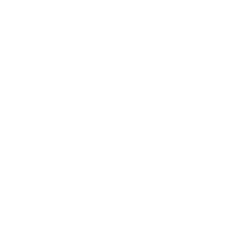 Leadership Icon